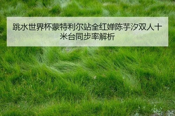 tiao-shui-shi-jie-bei-meng-te-li-er-zhan-quan-hong-chan-chen-yu-xi-shuang-ren-shi-mi-tai-tong-bu-lv-jie-xi-2-502.jpg