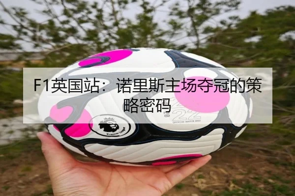 F1英国站：诺里斯主场夺冠的策略密码